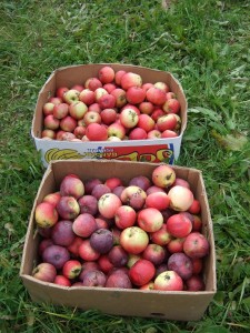 2 коробки красненьких