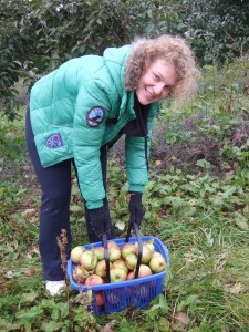 Гиль Инна на сборе яблок