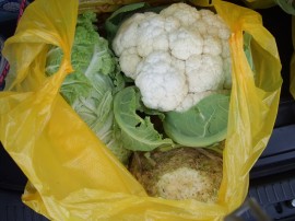 Салат, сельдерей и цветная капуста - набор для каждой семьи