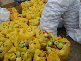 Из мешков и коробок - по пакетам